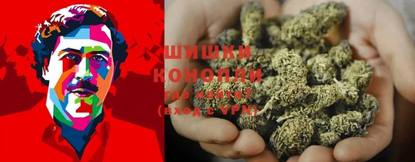 ГАЛЛЮЦИНОГЕННЫЕ ГРИБЫ Абинск